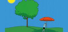 Pourquoi se complique-t-on la vie ?
