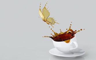 Les grands concepts de la philosophie expliqués